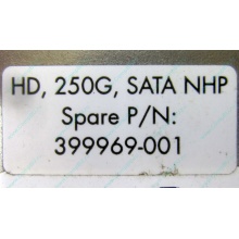HP 250G 7.2k 432337-001/ 399699-001 / 397377-004 SATA HDD (Хасавюрт)