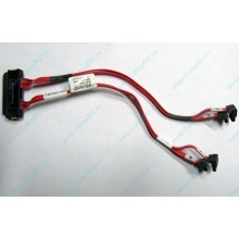SATA-кабель для корзины HDD HP 451782-001 459190-001 для HP ML310 G5 (Хасавюрт)