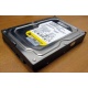 Жесткий диск 160Gb WD WD1602ABKS SATA (Хасавюрт)