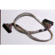 Intel 6017B0045301 в Хасавюрте, 68 pin SCSI кабель 26.5" / 57см для корзины HDD корпуса SR2400 (Хасавюрт)