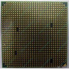 Процессор AMD Athlon 64300+ (1.8GHz) ADA3000IAA4CN s.AM2 (Хасавюрт)